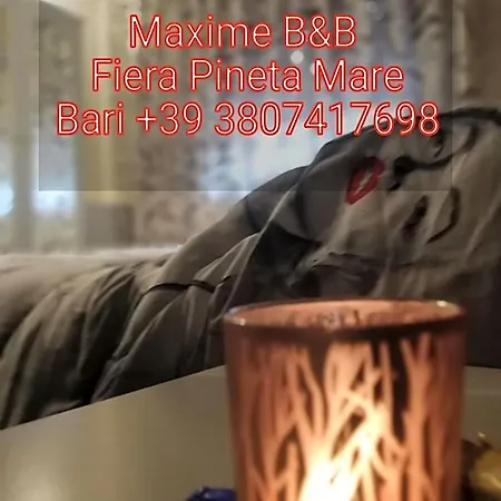 Max Fiera Hotel 3*